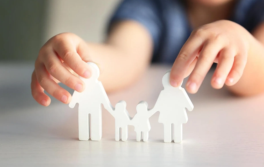 Family Law Image
